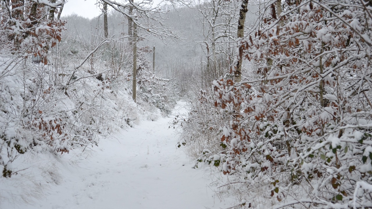 Photo of Others in Chissey-en-Morvan