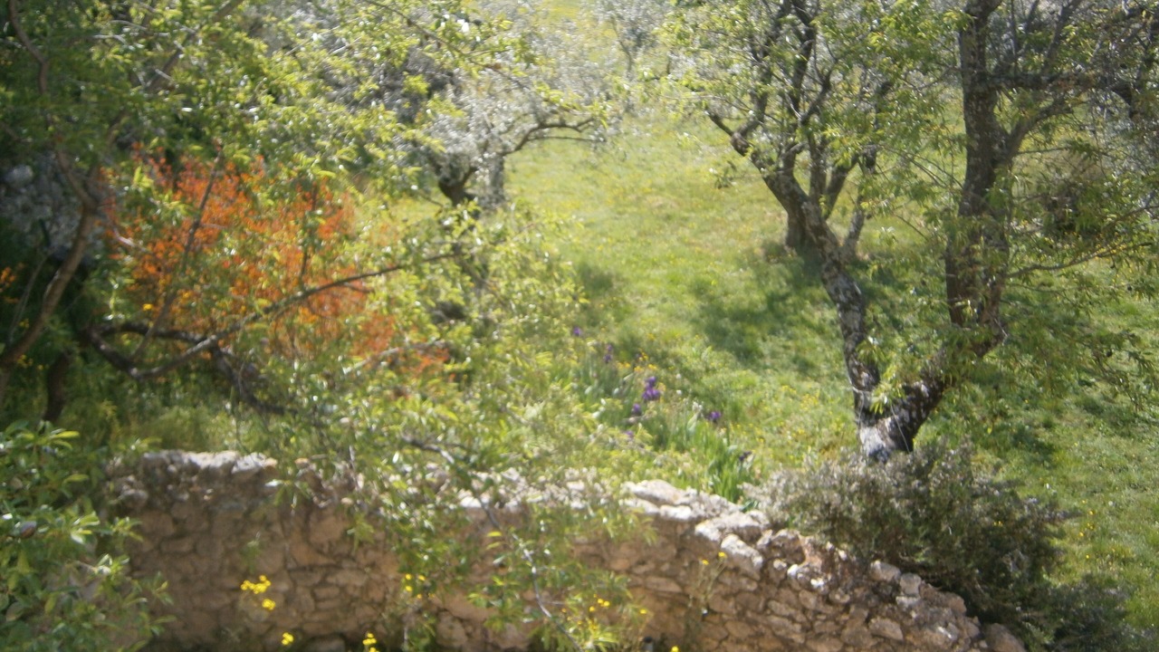 Photo of Outdoor in Saint-Pierre-de-Vassols