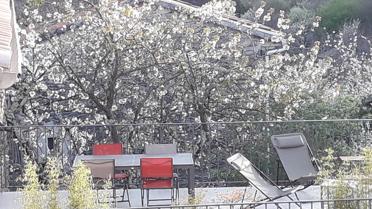 Photo of Outdoor in Vesseaux
