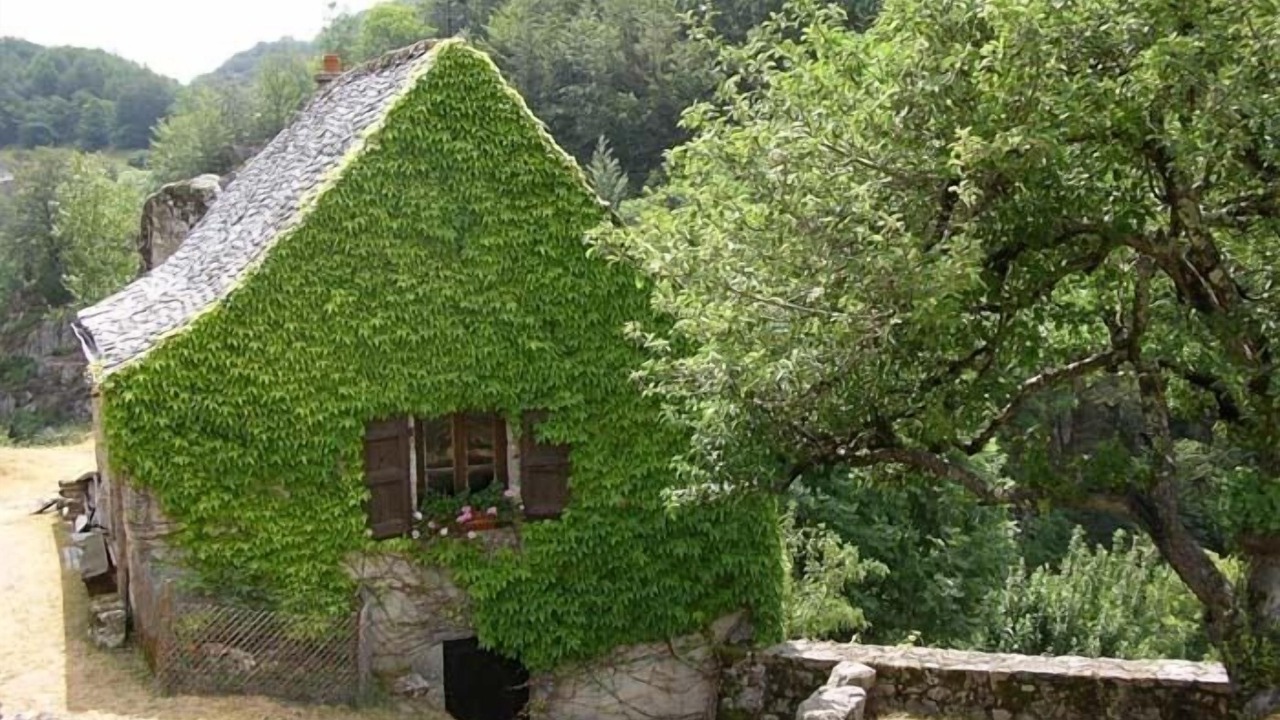 Photo of Outdoor in Laguiole