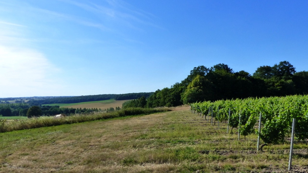 Photo of Outdoor in Meillard