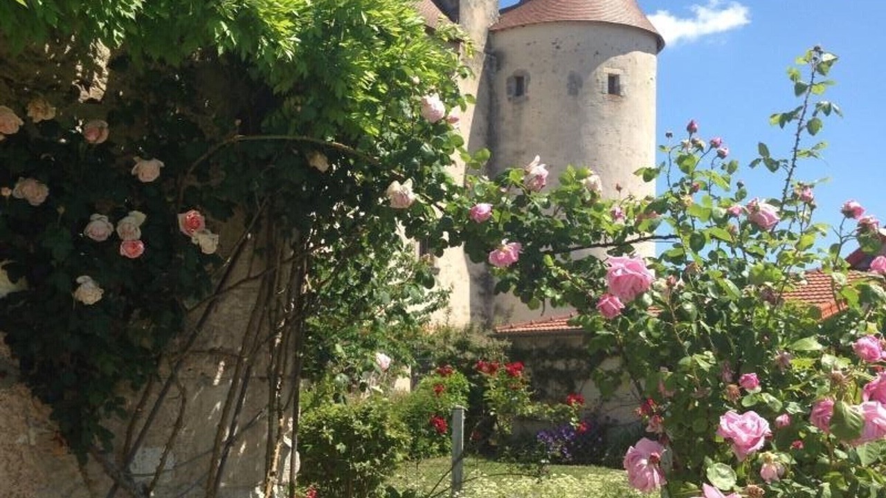 Photo of Outdoor in Saint-Etienne-de-Vicq
