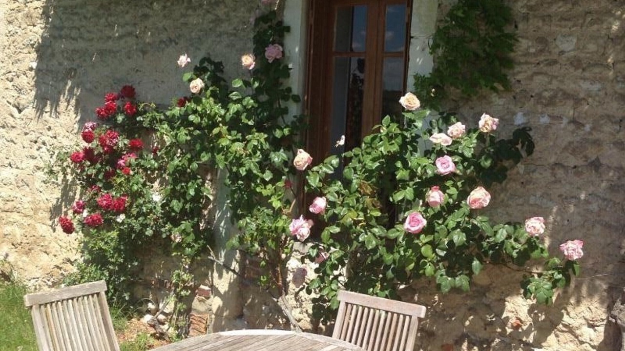 Photo of Outdoor in Saint-Etienne-de-Vicq