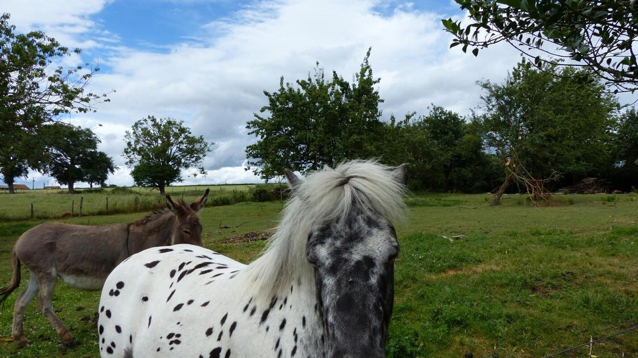 Photo of Outdoor in Saligny-sur-Roudon