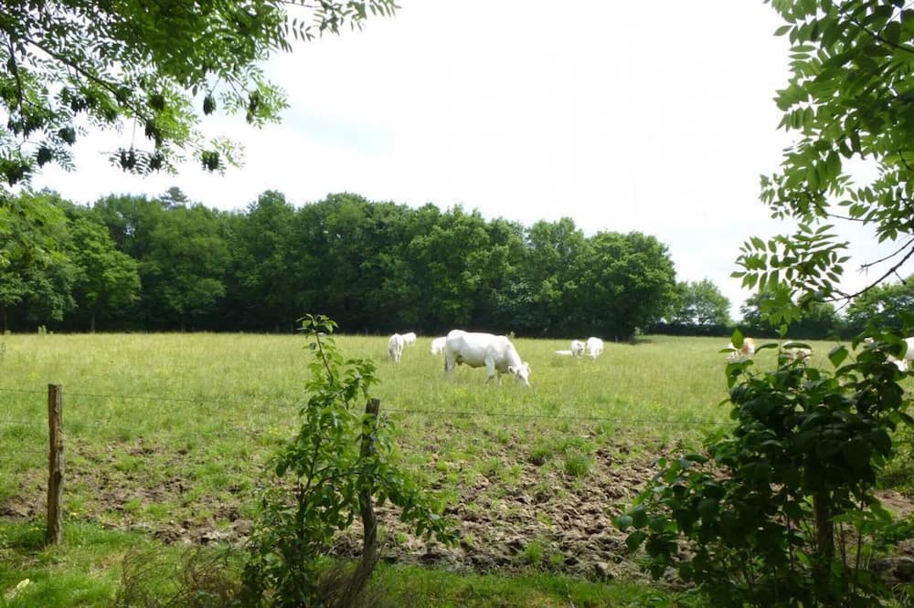Photo of Outdoor in Saint-Loup