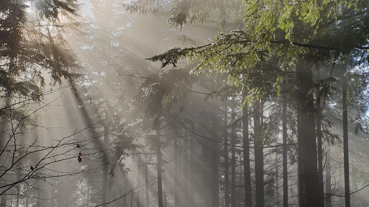 Photo of Outdoor in Bellenaves