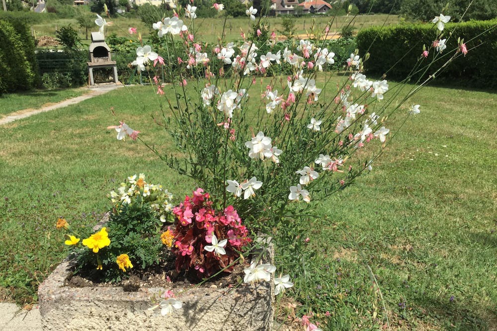 Photo of Outdoor in Nans-sous-Sainte-Anne