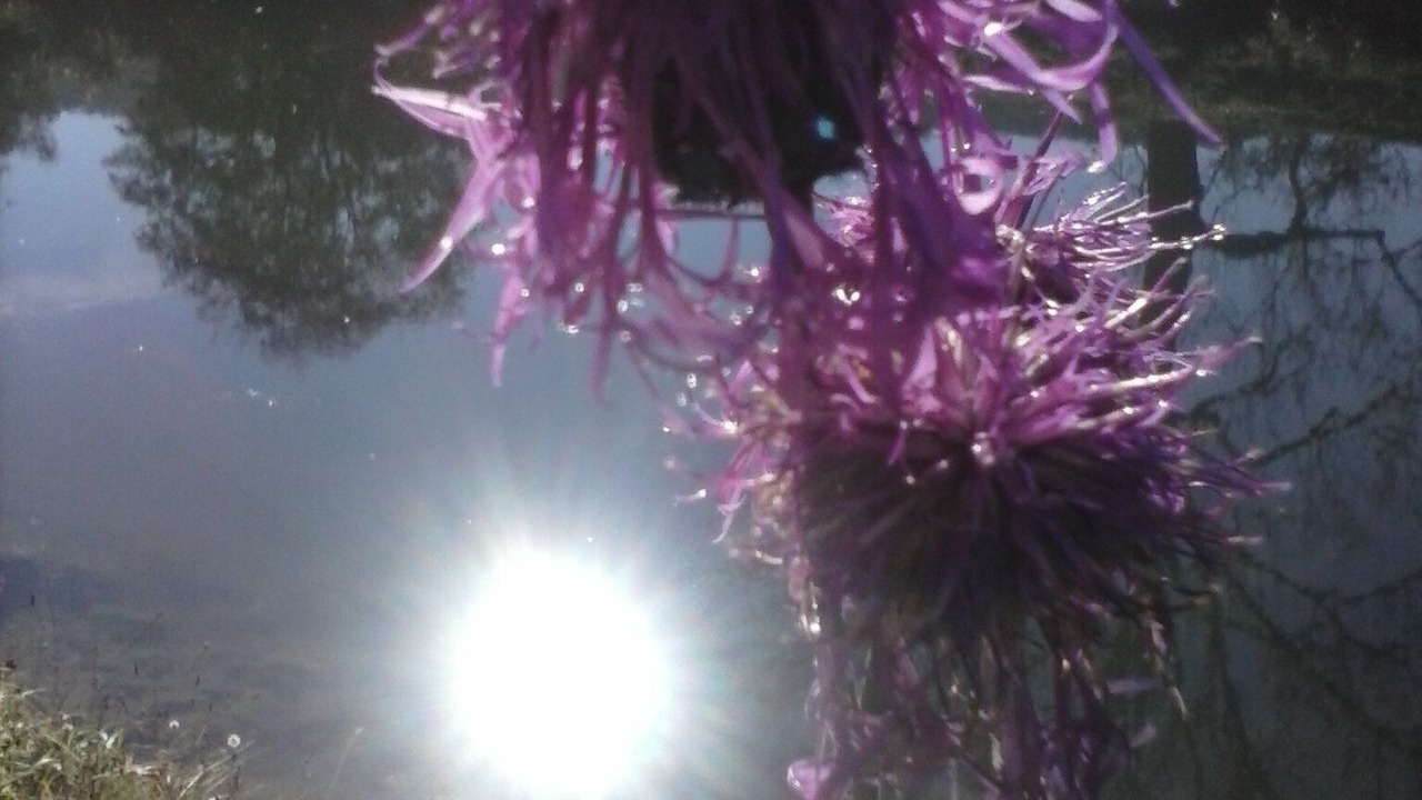 Photo of Outdoor in Vaire