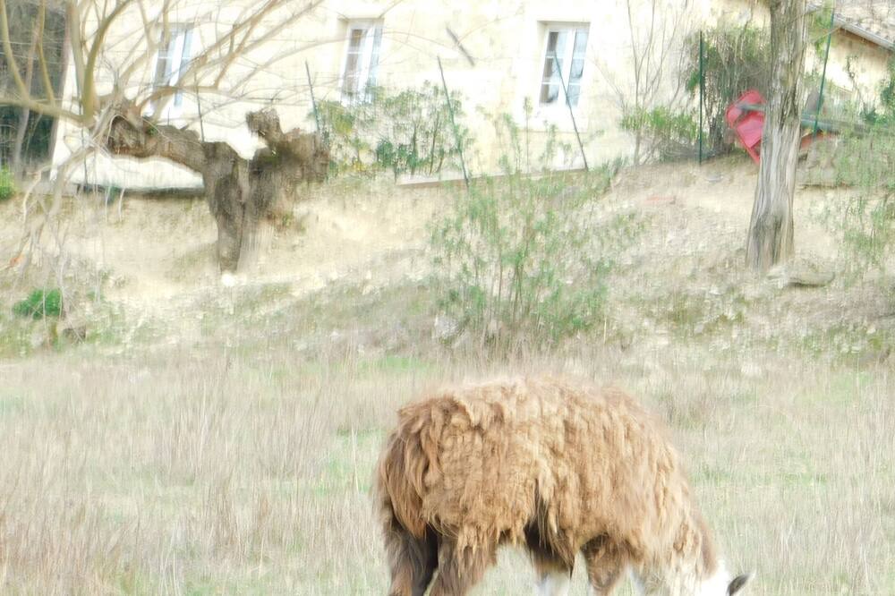Photo of Outdoor in Mirmande