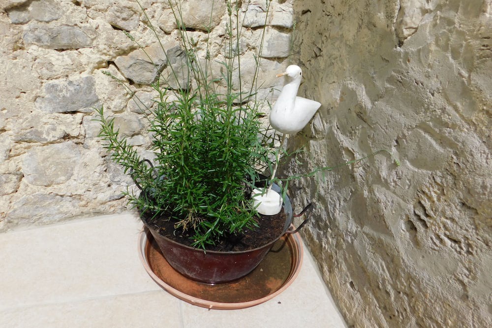 Photo of Others in Mirmande