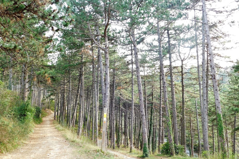 Photo of Outdoor in Mirmande