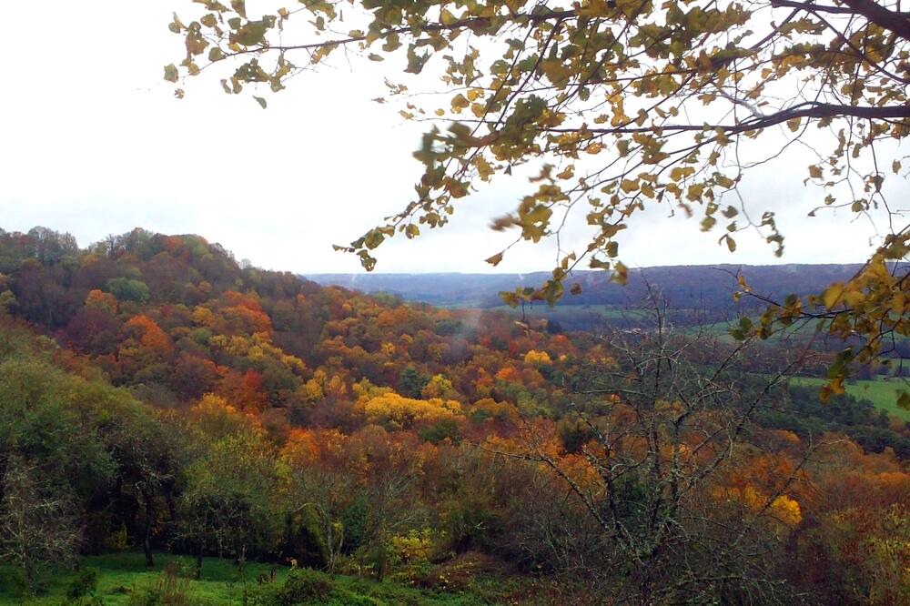 Photo of Outdoor in Serqueux