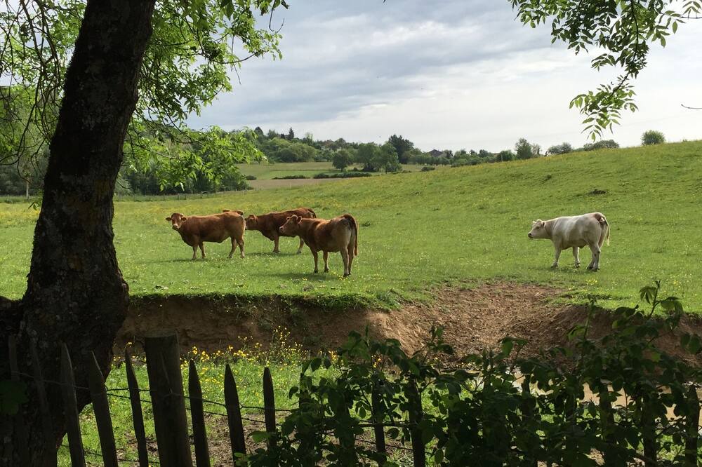 Photo of Outdoor in Serqueux
