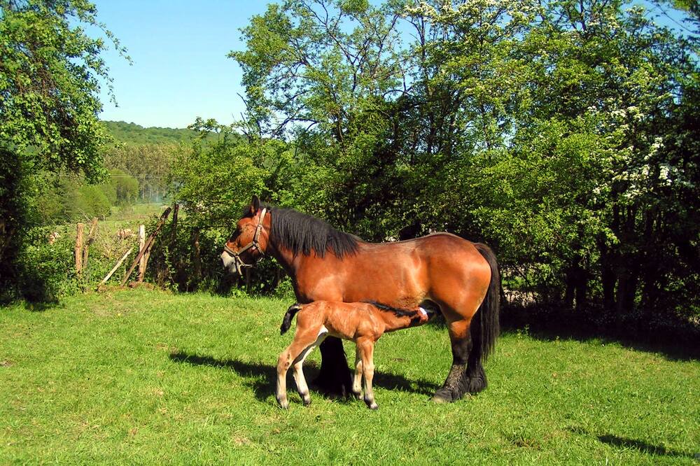 Photo of Outdoor in Serqueux
