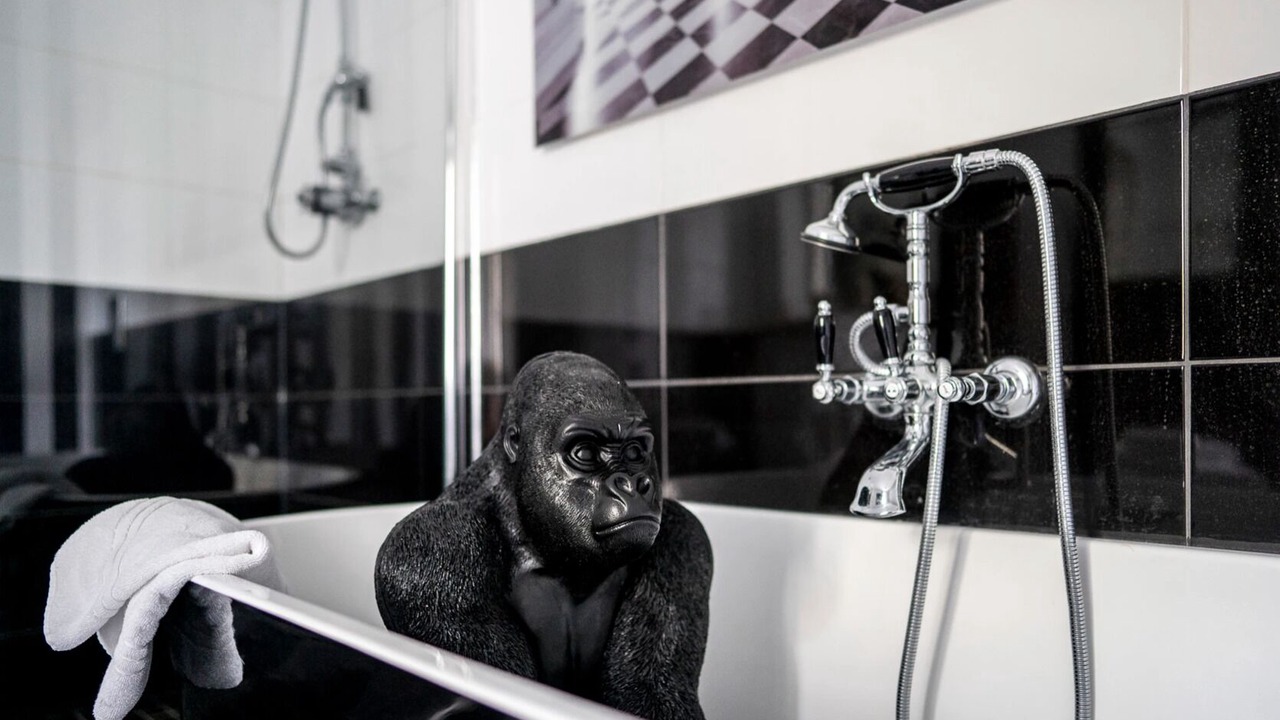 Photo of Bathroom in Saint-Etienne-de-Saint-Geoirs