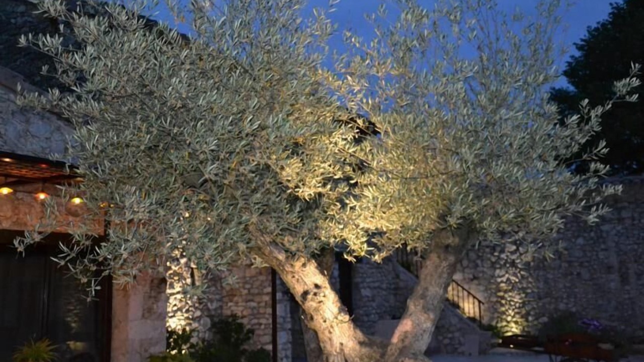 Photo of Outdoor in Malataverne