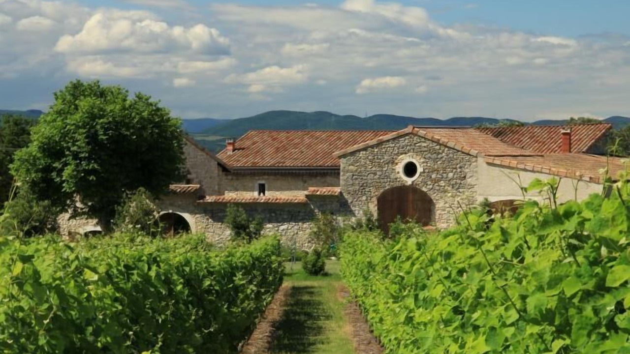 Photo of Outdoor in Malataverne