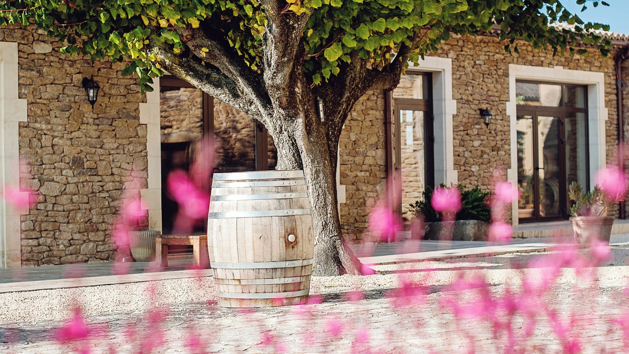 Photo of Outdoor in Grignan