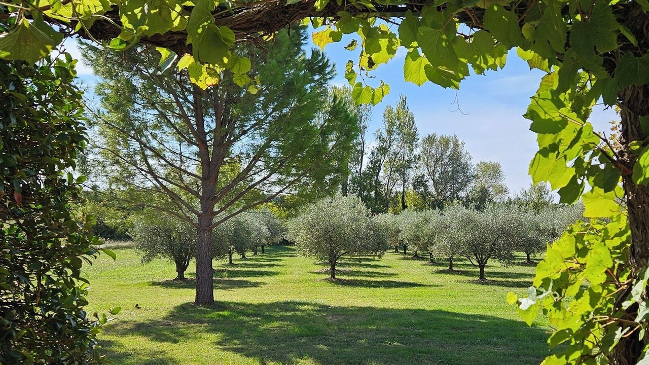 Photo of Outdoor in Tulette