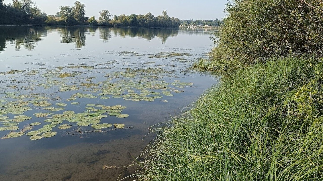 Photo of Others in Allerey-sur-Saone