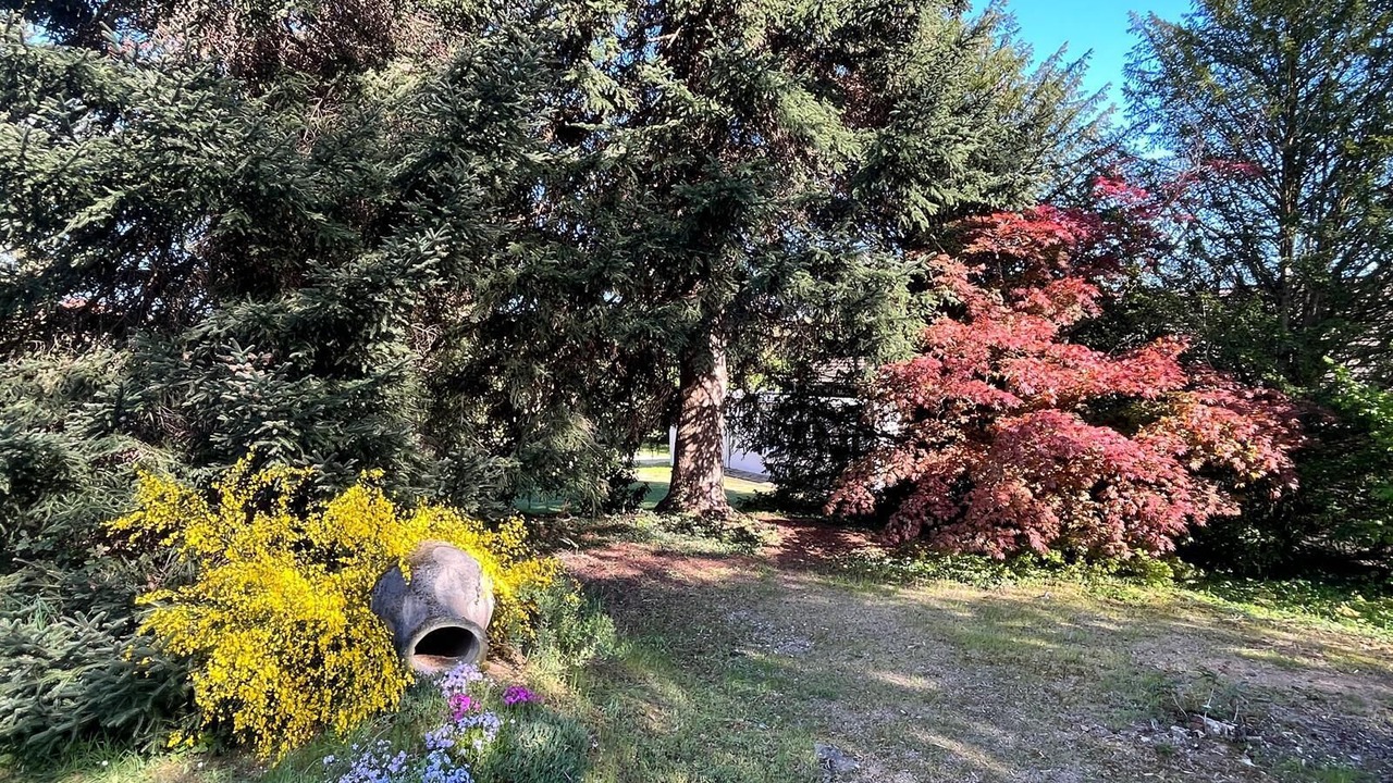 Photo of Others in Courpiere