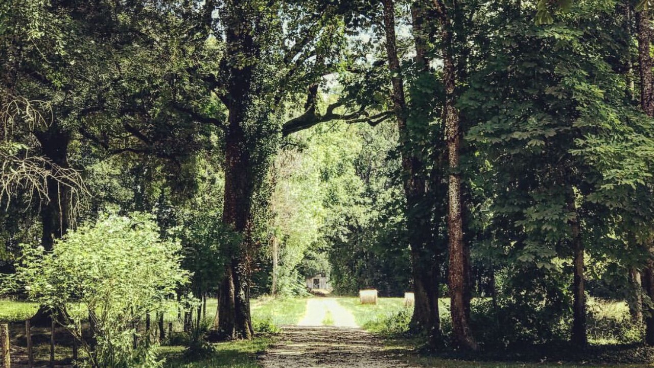 Photo of Others in Longecourt-en-Plaine