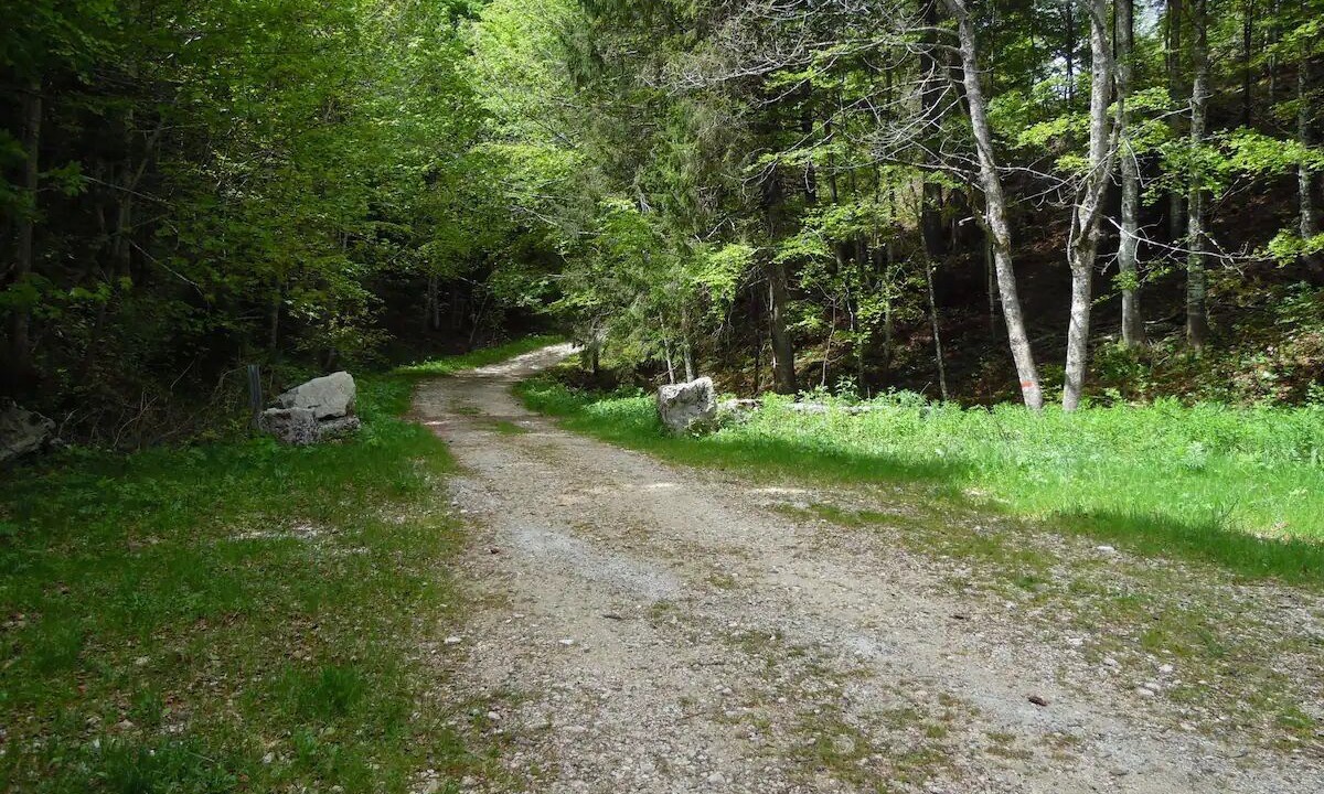 Photo of Others in Mijoux