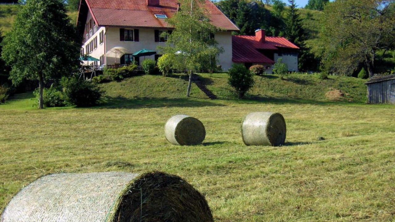 Photo of Outdoor in Chatelblanc