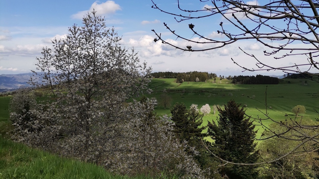 Photo of Others in Fay-sur-Lignon