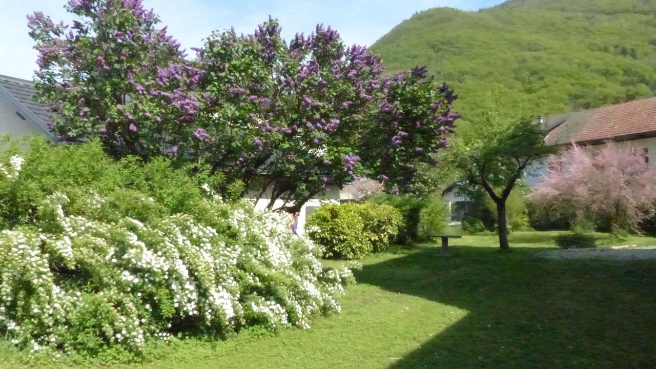 Photo of Outdoor in Grignon