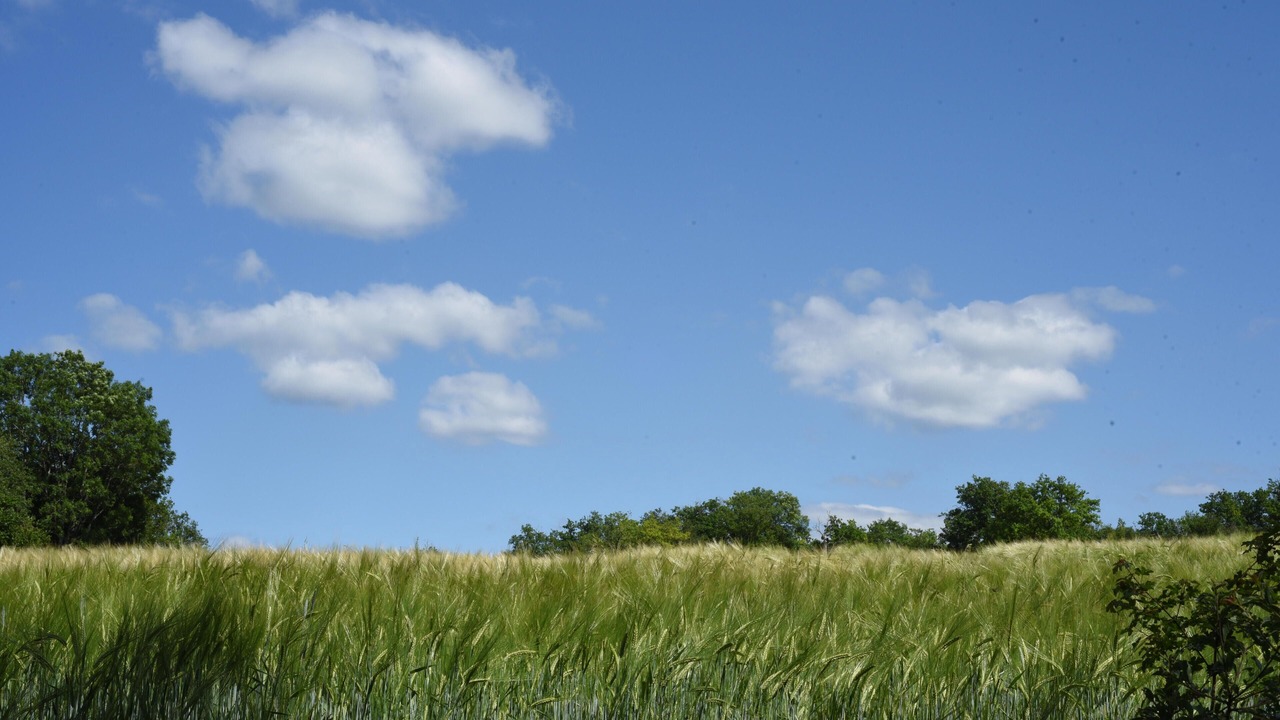 Photo of Others in Chevreaux