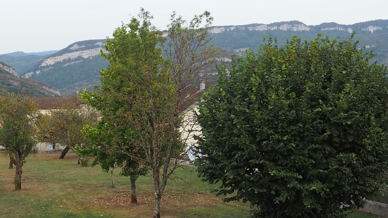 Photo of Outdoor in Lavans-les-Saint-Claude