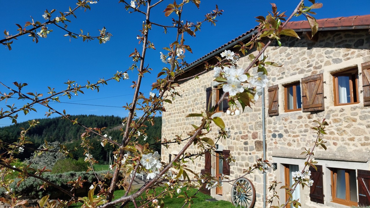 Photo of Outdoor in Saint-Jean-Roure