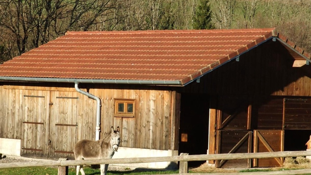 Photo of Outdoor in Saint-Bresson