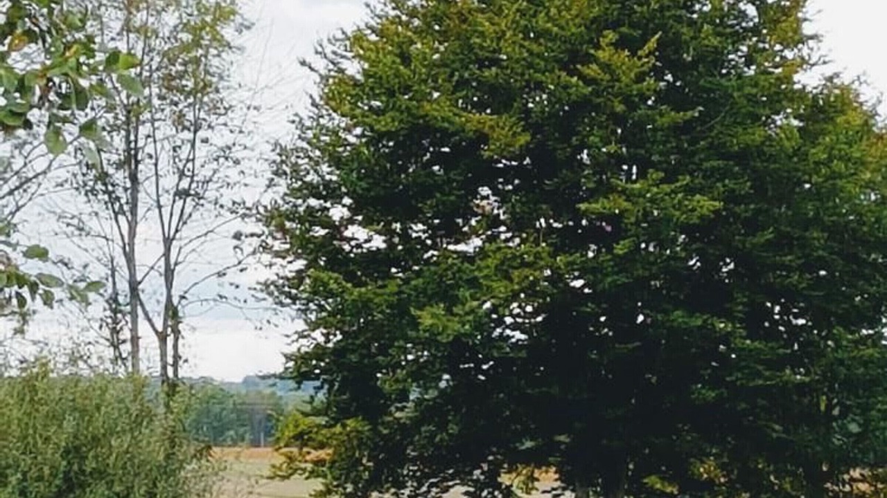 Photo of Others in Seveux