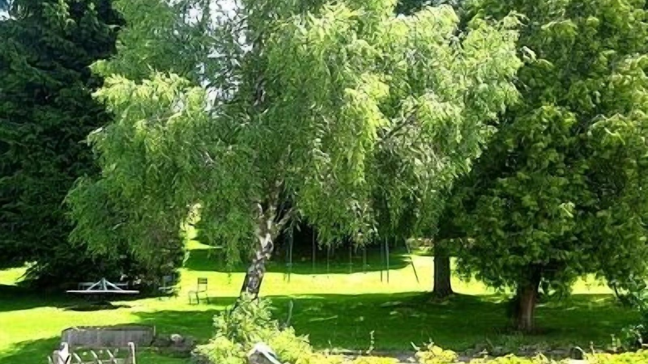 Photo of Outdoor in Chambon-sur-Dolore