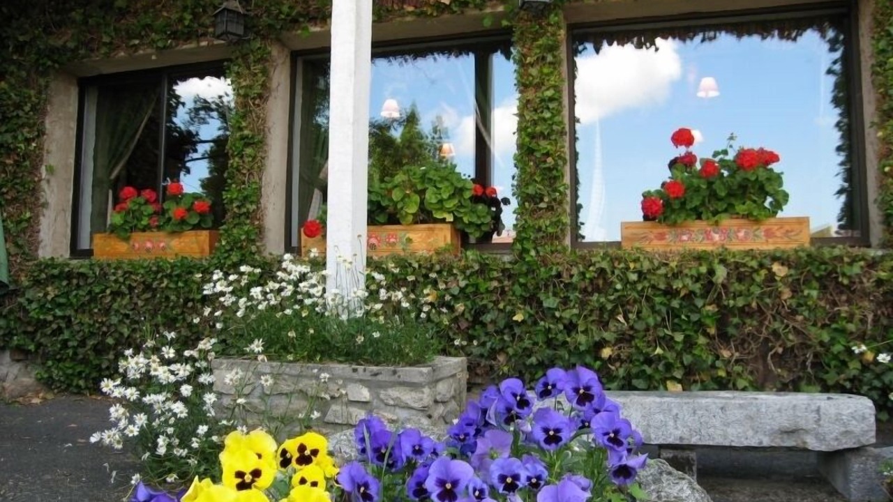 Photo of Outdoor in Chambon-sur-Dolore