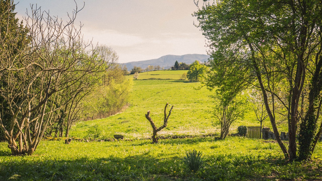 Photo of Others in Rouede