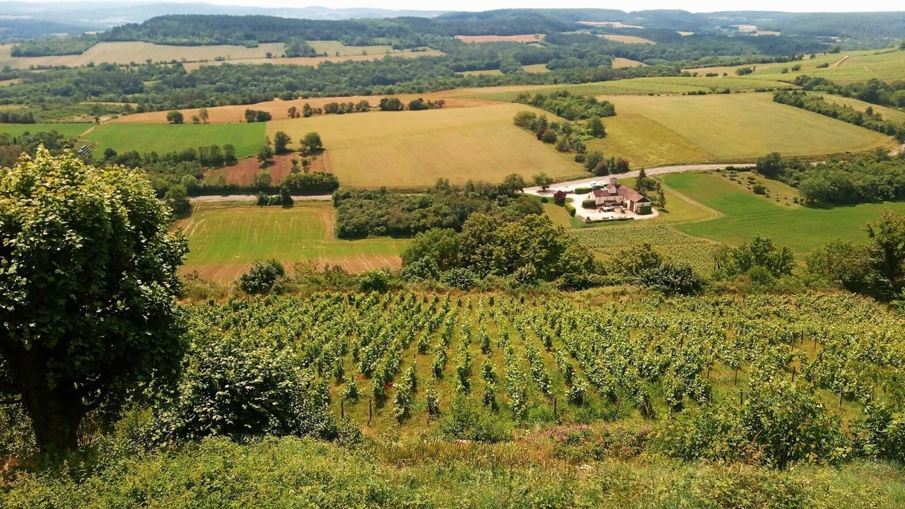 Photo of Others in Tannay