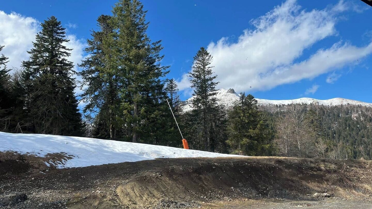 Photo of Others in Laveissiere