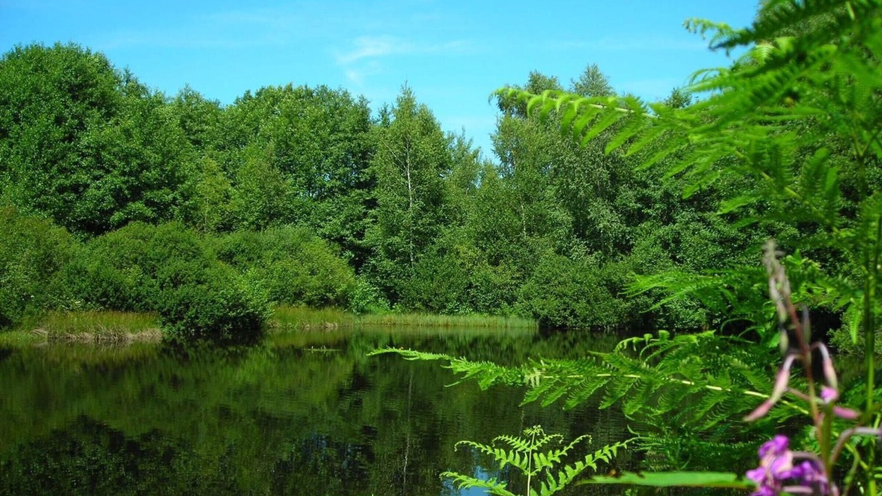 Photo of Outdoor in Corravillers