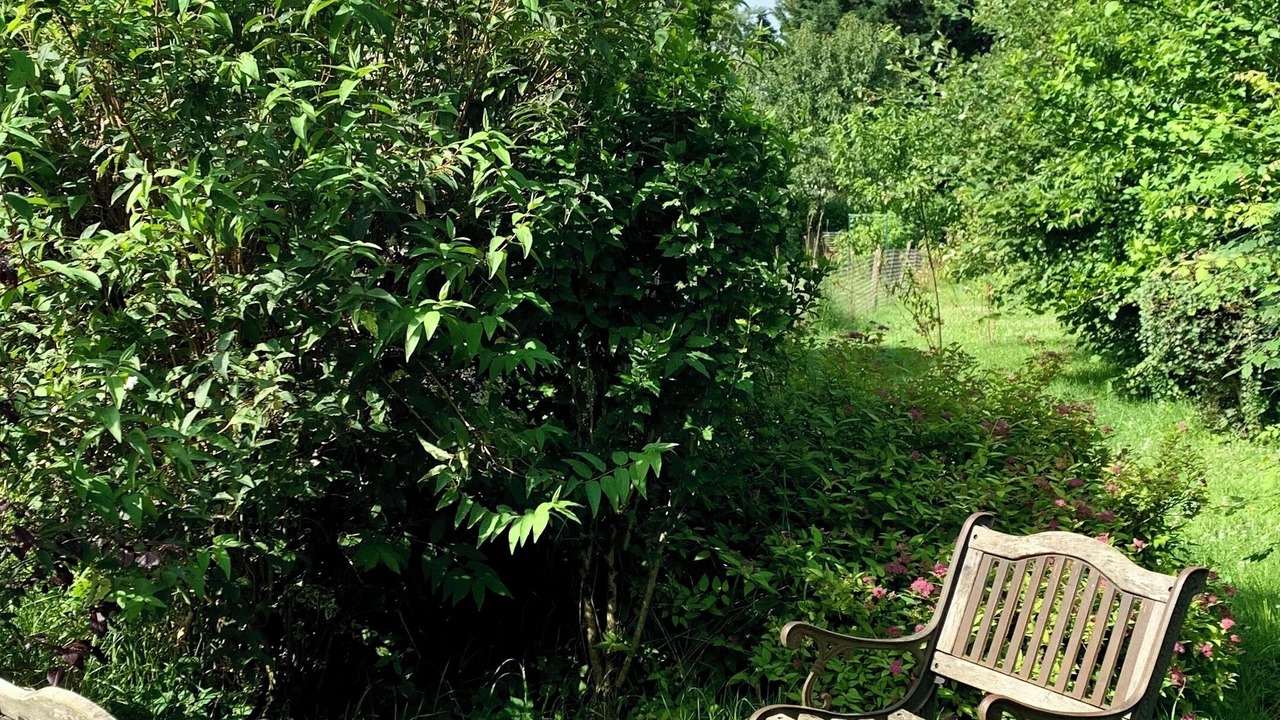 Photo of Outdoor in Froideconche