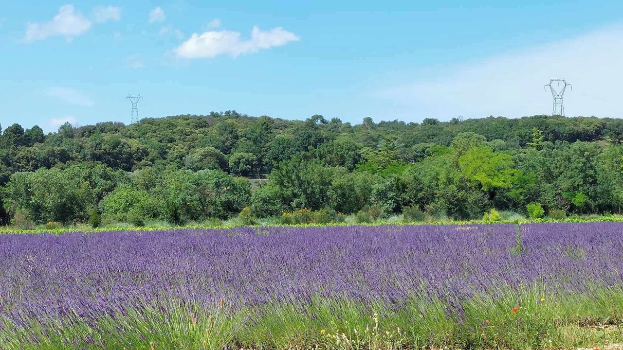Photo of Outdoor in La Garde-Adhemar