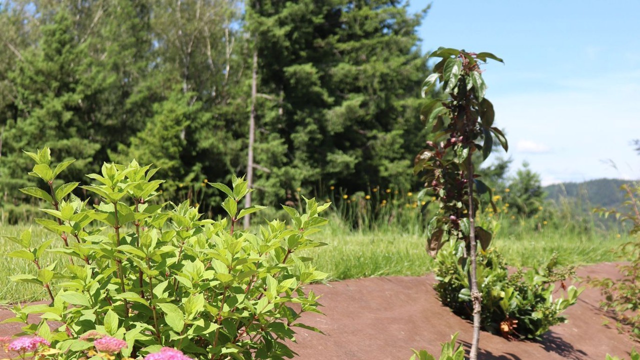 Photo of Outdoor in Saint-Maurice-sur-Moselle