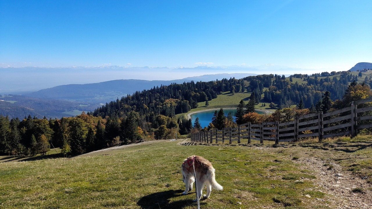 Photo of Outdoor in Bonnevaux