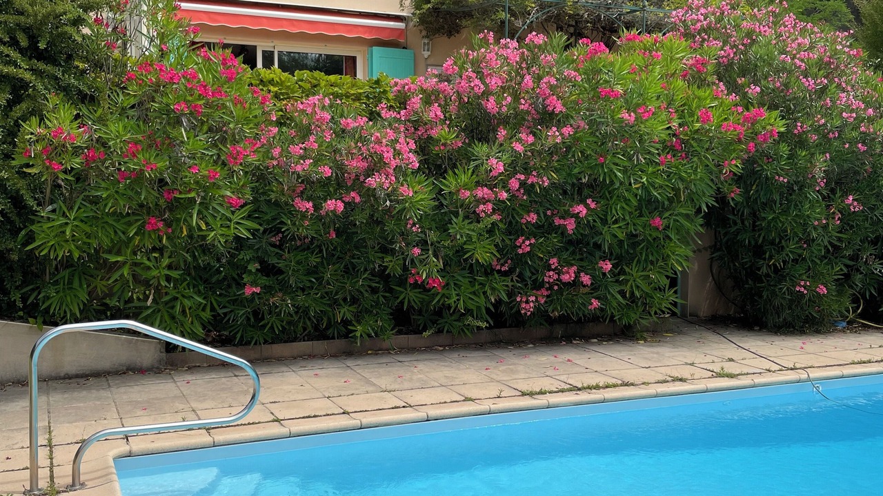 Photo of Outdoor in Dieulefit