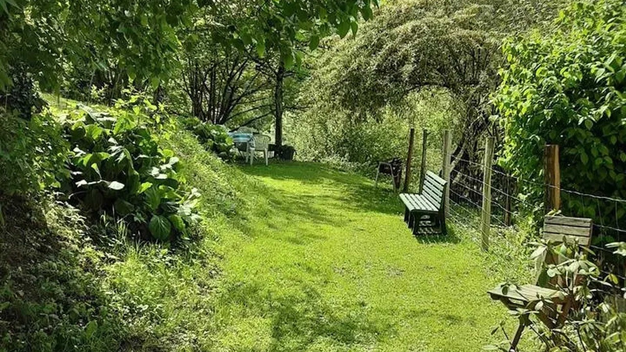 Photo of Outdoor in Herran