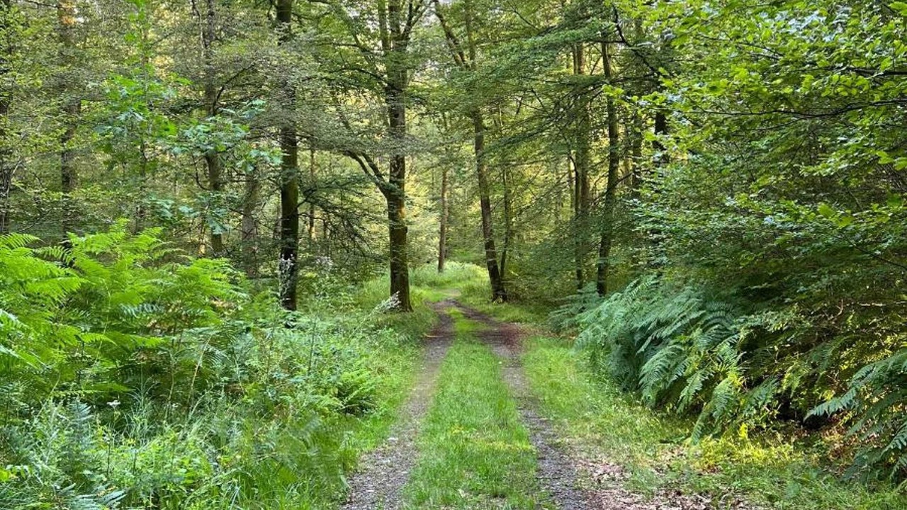 Photo of Outdoor in Pays des Vosges Saonoises