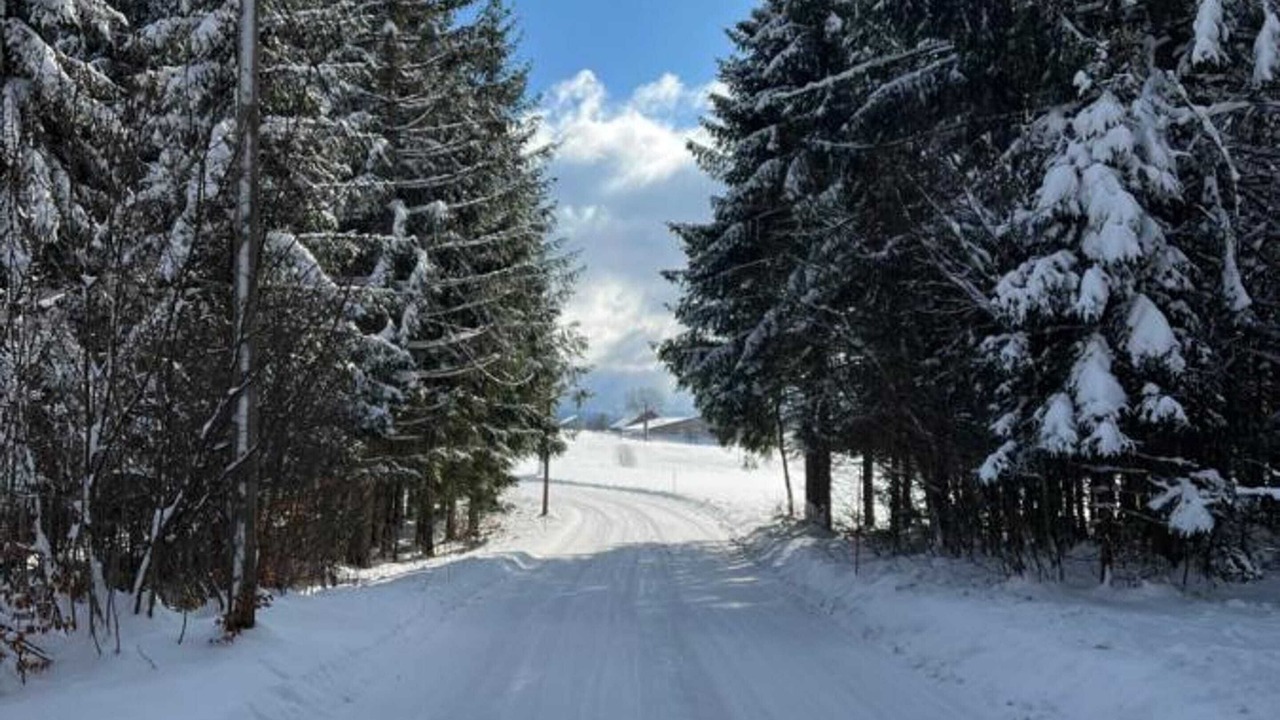 Photo of Outdoor in Pays des Vosges Saonoises