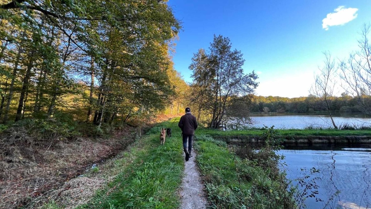 Photo of Outdoor in Pays des Vosges Saonoises